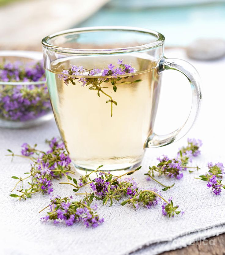 Tea cup